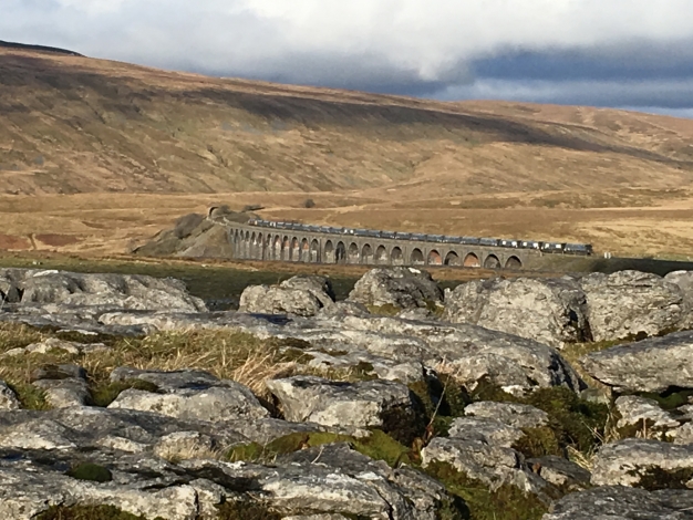 Molly Cottage, Ribblehead Viaduct, Image 17