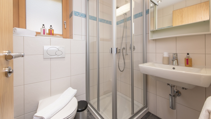 Zermatt Apartment, Shower/WC, Image 16