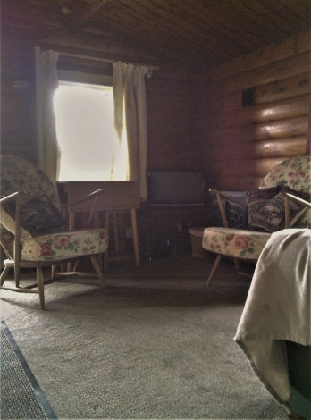 Forest Cabin, , Image 3