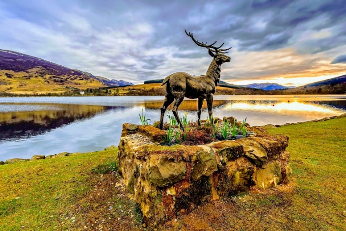 Waterside Cottages, Stan Stag statue at Briar Cottages , Image 6