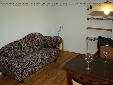 De Iisfugel in Gaast, Living Room Mogenstond , Image 13