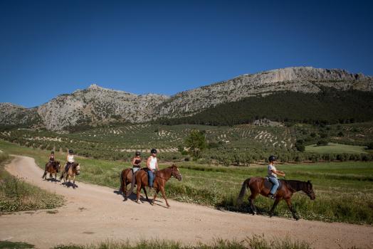 El Establo Cottage, horse riding in the beautiful mountains , Image 5