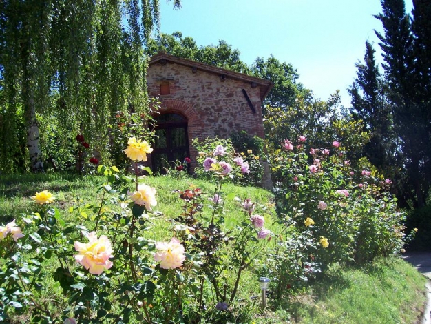 Renello  Farm-House, Cottage Granaio 2(+2), Image 15