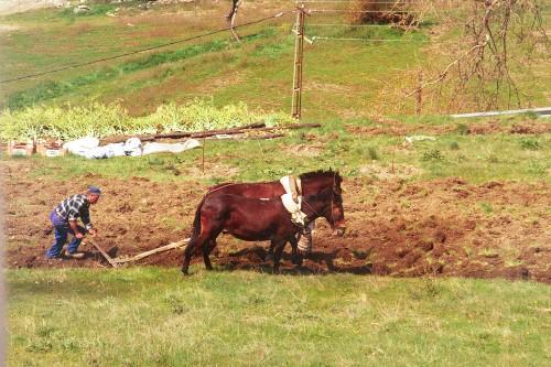 Holidaylet Mountains, Ploughing in the neighbourhood, Image 11