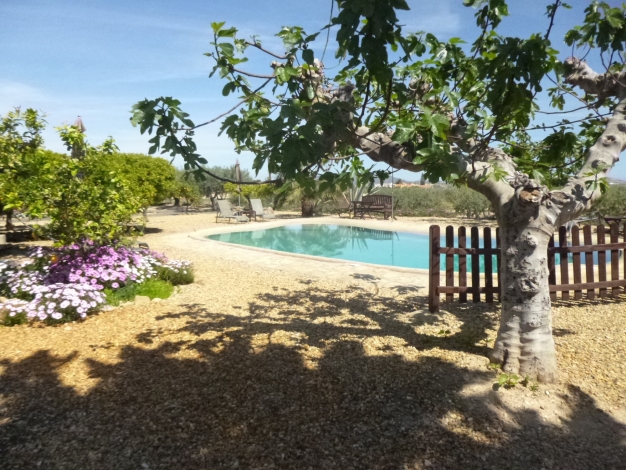 Garden Bungalow, Finca Arboleda's Beautiful Healthy Pool, Image 9