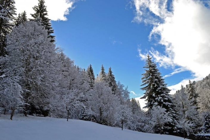 Luxury Ski Chalet, , Image 26