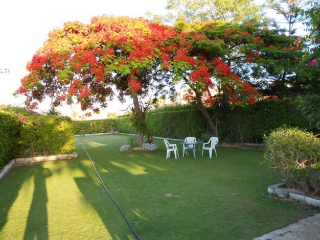 Marina Villa Egypt, Garden View, Image 2